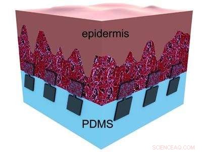 Tiny Biodegradable Scales Offer Safer Bone and Joint Implant Material