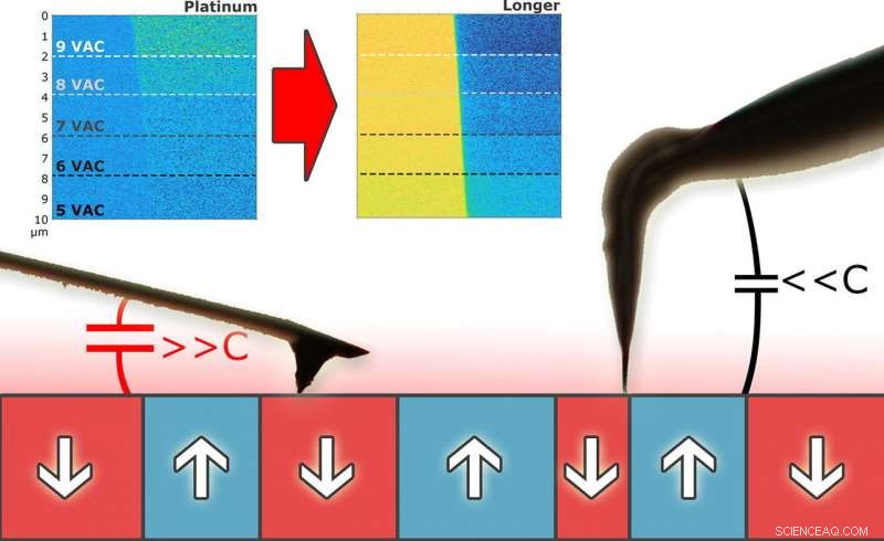 Enhancing Piezoelectric Microscopy for Precise Characterization of Ceramic Materials