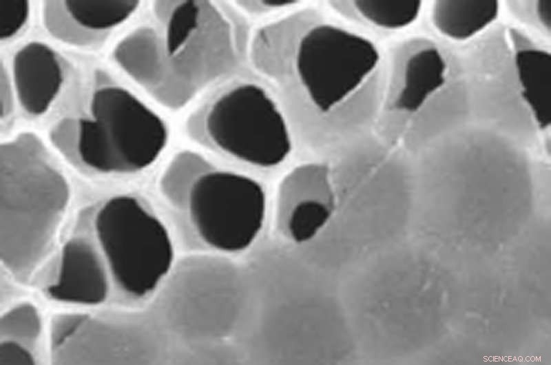 MXene Chemical Net Promises Efficient Pure Hydrogen Capture