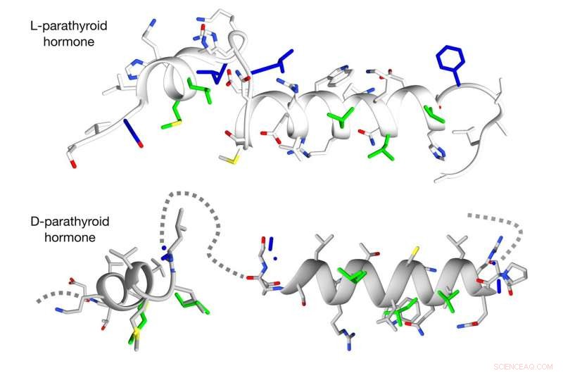 Revolutionizing Drug Discovery: Mirror-Image Molecules Promise Safer, More Effective Medicines
