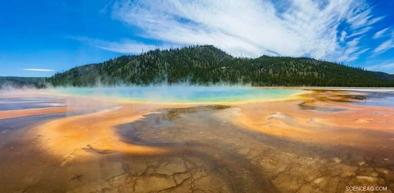 Harnessing Biomining: Sustainable Extraction of Future Metals