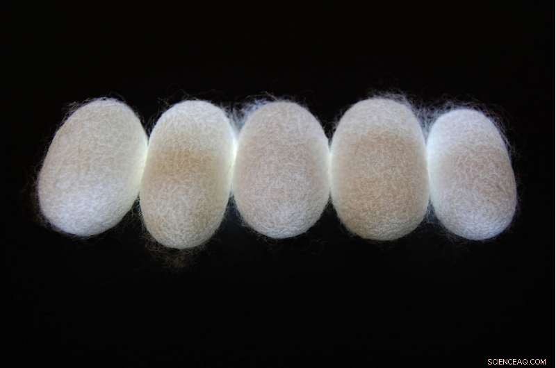 Silk Fibers as Cutting-Edge Natural Metamaterials: New Research Reveals High-Tech Potential