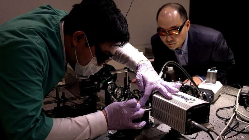 Silk Fibers as Cutting-Edge Natural Metamaterials: New Research Reveals High-Tech Potential