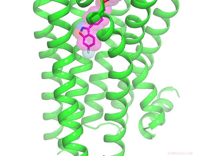 New Crystal Structure Unveils How Risperidone Binds to the D2 Dopamine Receptor