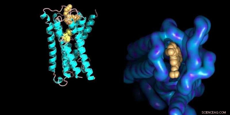 Accurate Quantification of Molecular Interactions: Techniques and Applications