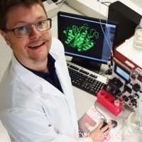 Sunflower Enzyme Found to Build Protein Circles, Paving Way for Novel Drug Therapies