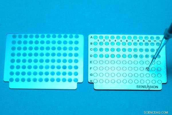 New Electrochemical Test Detects Antibiotic-Resistant Bacteria Quickly