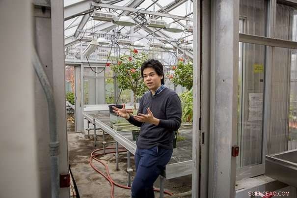 Scientists Unveil Bionic Leaf to Enhance Distributed Agriculture