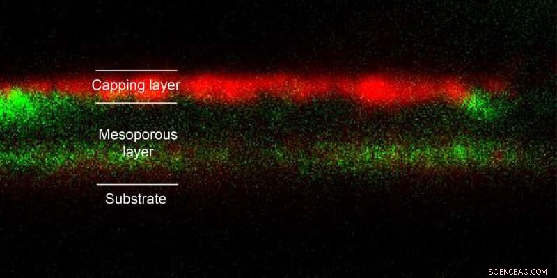 Discover the Hidden Pathways to Perovskite Formation