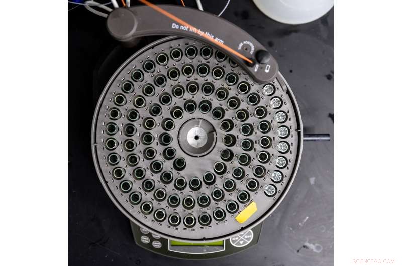 Revealing the Hatchet Enzyme: A Key Player in Disease and Wellness Uncovered by Neutron Scattering