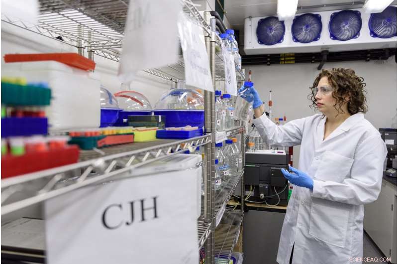 Revealing the Hatchet Enzyme: A Key Player in Disease and Wellness Uncovered by Neutron Scattering