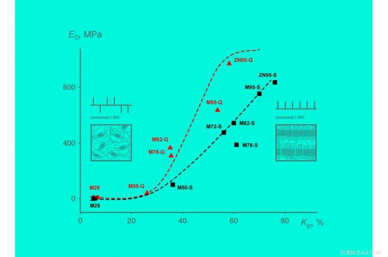 Understanding Macromolecular Order in Polypropylene: Insights from Russian Polymer Research