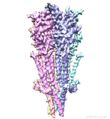Case Western Study Reveals Complete Serotonin Receptor Structure for First Time
