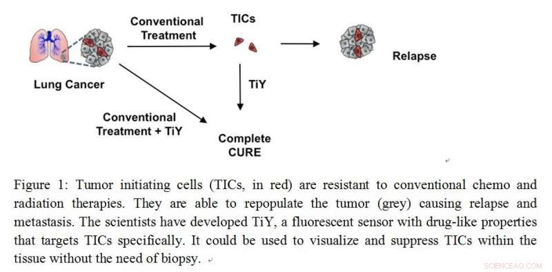Advanced Sensor Targets Tumor‑Initiating Cells to Prevent Cancer Relapse