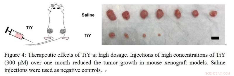 Advanced Sensor Targets Tumor‑Initiating Cells to Prevent Cancer Relapse
