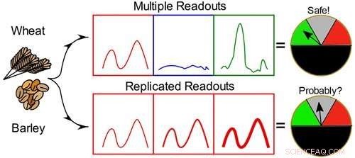 Revolutionizing Rapid and Sensitive Gluten Detection for Celiac Patients