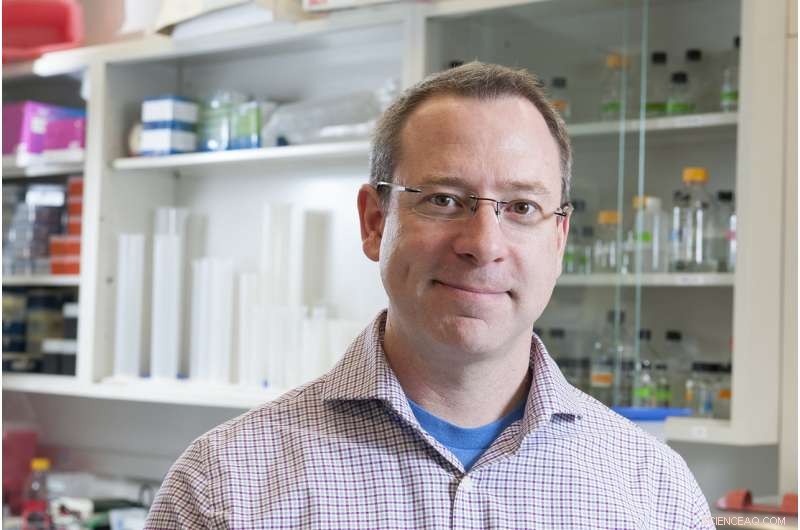 Groundbreaking Compound Could Halt Bacterial Infections