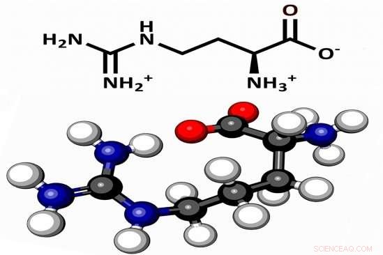 New Study Shows Arginine May Have Been Crucial to Life’s Chemical Origins
