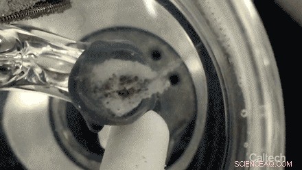 Caltech Breakthrough: Unveiling the Mechanism of a Powerful Water‑Splitting Catalyst