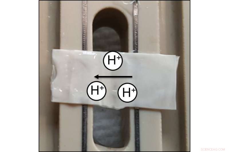 Self‑Healing Medical Devices Powered by Repetitive Protein Sequences