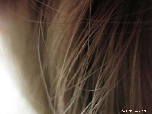 Wheat Gluten Proven to Rebuild Hair Bonds, Strengthening Brittle Hair