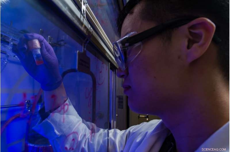 Rice University Unveils Simplified Light-Activated Nanoparticle Method for Polymer Production