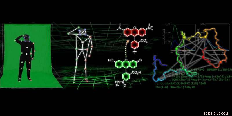 Chemists Pioneer Motion‑Capture‑Inspired Tool to Visualize Protein Conformations