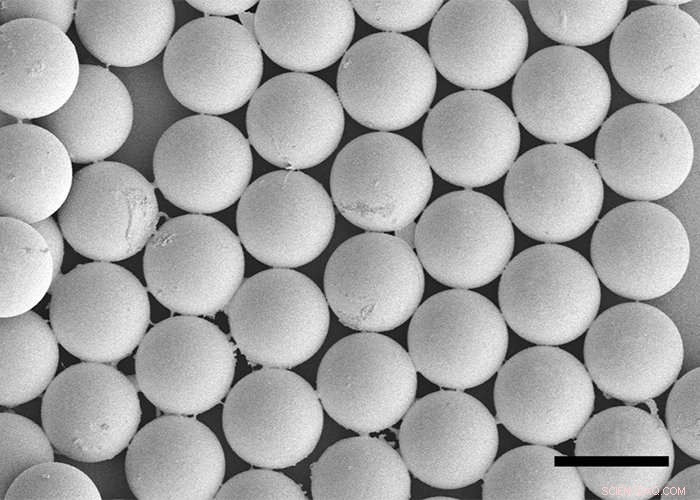 Microscale Drug‑Delivering Capsules Enhance Survival of Transplanted Insulin‑Producing Cells