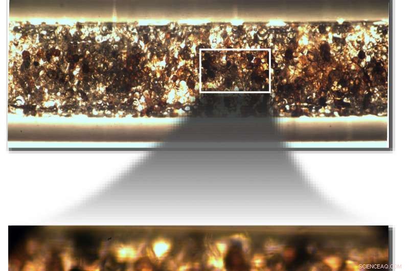 Revolutionizing Pharma Production: Green Catalysis Boosts Efficiency & Sustainability