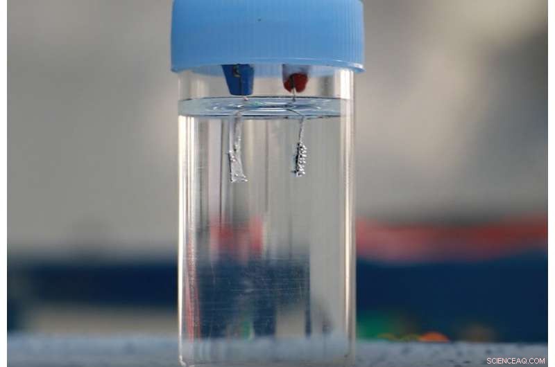 Revolutionary High‑Efficiency, Low‑Cost Catalyst for Water Electrolysis