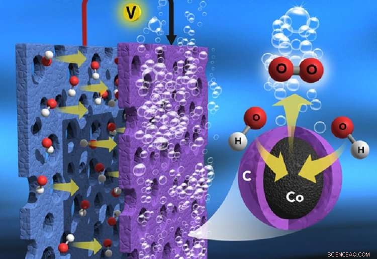 Revolutionary High‑Efficiency, Low‑Cost Catalyst for Water Electrolysis