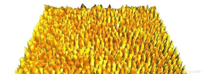 Revealing Dynamic Changes on Platinum Electrodes During Operation