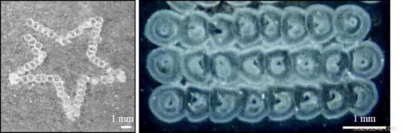 Pioneering Bioprinting Technique Recreates Biological Structures with Natural Cells and Molecules