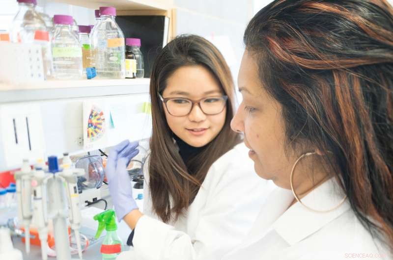 Mapping Biochemical Networks in the Midgut of Aedes aegypti Mosquitoes