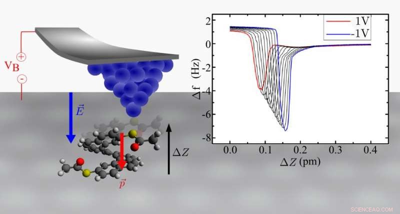Single-Molecule Piezoelectric Effect Demonstrated: A Breakthrough in Molecular Electronics