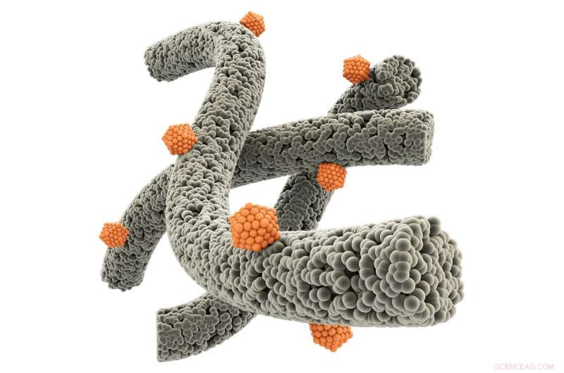 Advanced Nanosensors Detect Disease Biomarkers in Breath with Unprecedented Accuracy