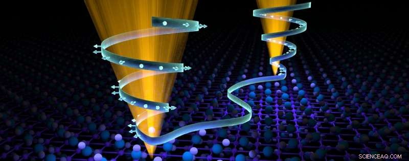 Neutron Scattering Unveils the Intricate Weyl Semimetal Landscape