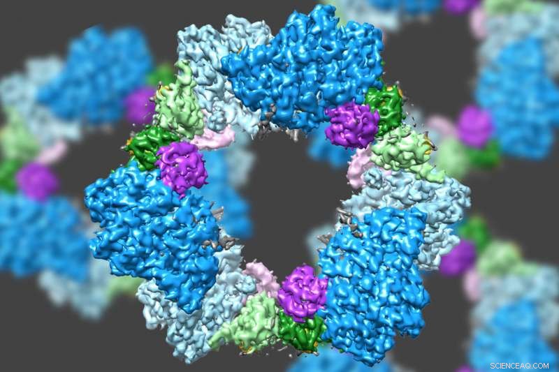 MIT Scientists Reveal Enzyme s High-Resolution Structure via Advanced Electron Microscopy