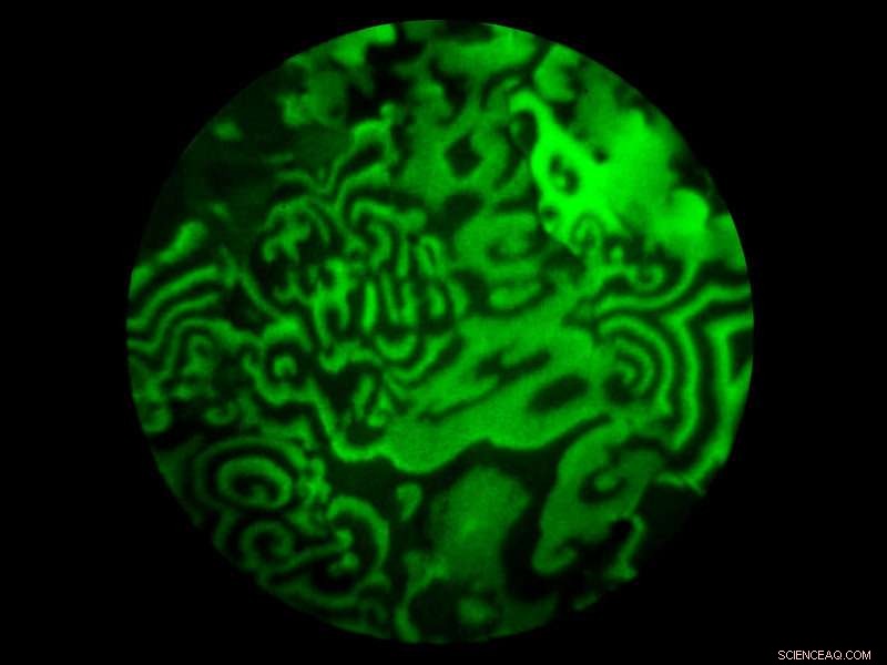 Harnessing Chemical Waves: The Future of Catalyst Design