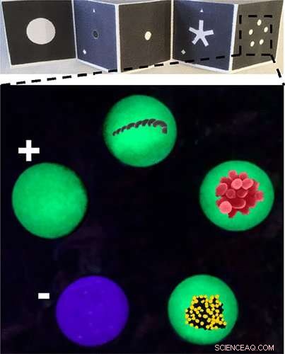 Revolutionary Origami-Based Diagnostics Promise Affordable Livestock Health for Developing Nations