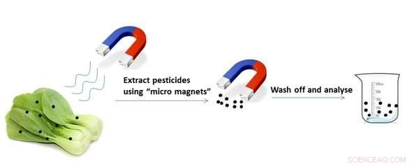 New Magnetic Nanoparticles Enable Rapid Pesticide Residue Screening in Vegetables