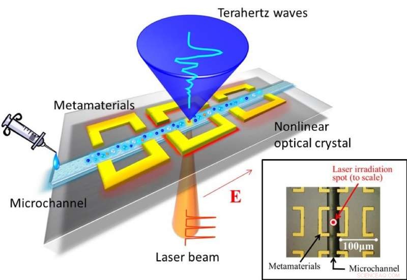 Advanced Microanalysis of Biological Samples for Early Disease Detection