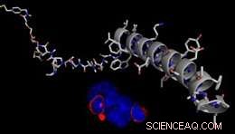 Reversible Control of GPCR Signaling via a Cleavable Agonist: LMU s New RECON Technology