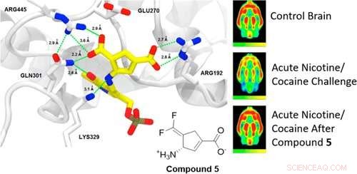 Enhanced Anti-Addiction Therapy: Breakthrough Drug Shows Promising Results