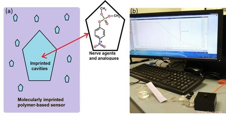 Fast, Accurate Detection of Toxic Compounds with MIP-Based Sensors