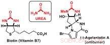 Innovative Symmetry-Breaking Technique Paves Path to New Bioactive Compounds