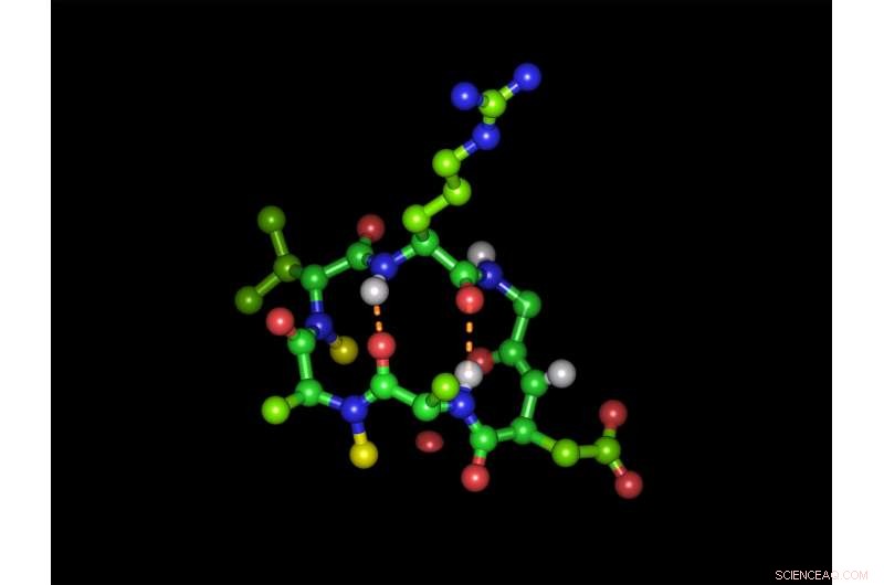 Oral Delivery of Peptide Drugs: Unlocking the Holy Grail of Peptide Chemistry
