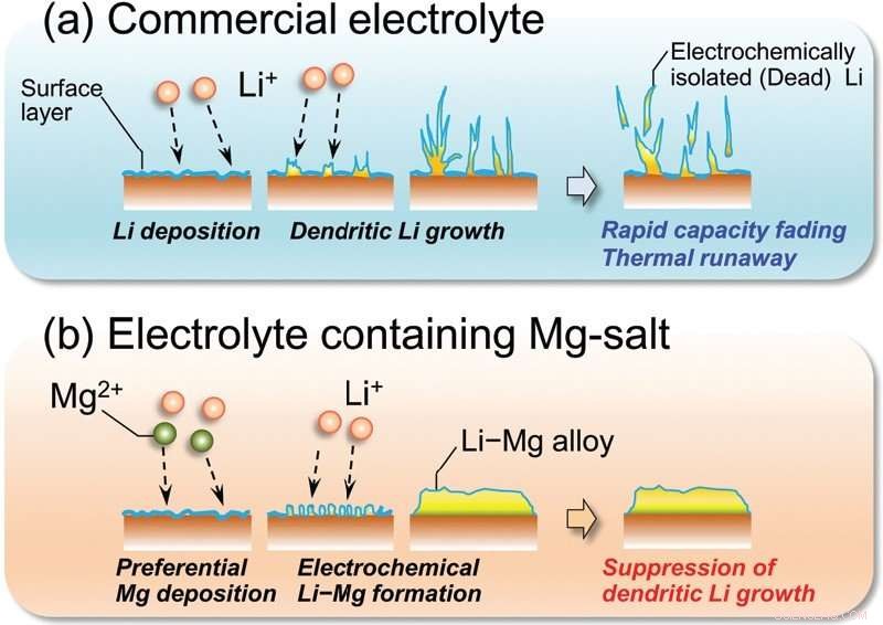 Shinshu University Researchers Show Magnesium Salt Technique Suppresses Lithium Dendrite Growth in Batteries