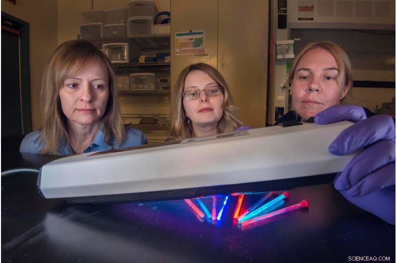 Innovative Nanoparticles for Targeted Cancer Imaging and Therapy