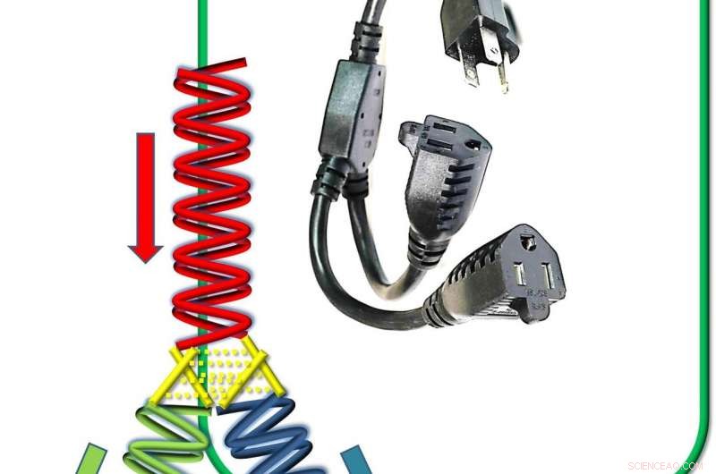 DNA Circuits Revolutionize Microelectronics: Adaptive Technology Emerges